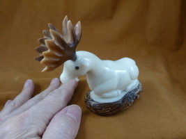 (TNE-MOO-644-A) white Moose TAGUA NUT nuts palm figurine carving in rut antlers - £28.67 GBP