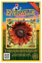 1 Oz Velvet Queen Sunflower Wildflower Seeds - Everwilde Farms Mylar See... - £11.87 GBP