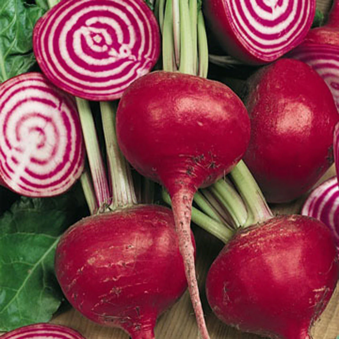 150 Chioggia Beet Seeds – Sweet Pink Skin with Red and White Rings - $5.98