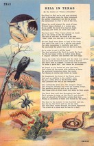 Hell In TEXAS-BUZZARD-STEER SKULL-RATTLESNAKE-LARGE SPIDER-POEM~1946 Postcard - £7.10 GBP