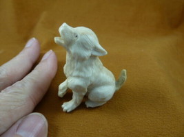 FOX-W3) little Fox pup shed ANTLER figurine Bali detailed carving love f... - $88.35