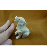FOX-W3) little Fox pup shed ANTLER figurine Bali detailed carving love f... - $121.08 CAD