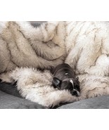 Waterproof Pet Warm Soft Throw Blanket - $76.48 CAD+