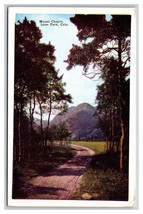 Road to Mount Chapin Estes Park Colorado CO UNP WB Postcard R13 - £3.04 GBP