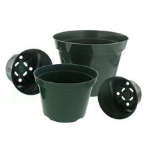 Lot of 50 Elite Azalea Pots 6.5” W x 4-5/8” H Flowers Plants + - £129.82 GBP