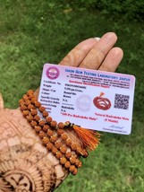 LABORATORIO CERTIFICATO 5 Mukhi RUDRAKSHA Rudraksh Mala ROSARY 108+1 gra... - £14.00 GBP