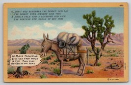 Donkey In Desert Taking To Joshua Tree Postcard R28 - $8.95
