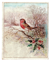 Victorian Trade Card Heekins Manilla Coffee Winter Scene Red Robin Holly... - £10.87 GBP
