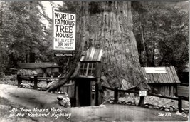 Redwood Highway California At Tree House Park Believe It Or Not Postcard Z27 - $6.95