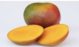 So Sweet Kent Mango - 2 Seeds Fresh Gardening USA Shipping - £15.45 GBP