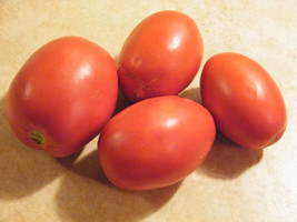 PWO 50 Seeds Casa Del Sol Tomato Juicy Tomatoe Vegetable Garden Edible Food - £3.53 GBP