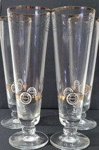 4 Warsteiner Pilsner Flute Glass German Beer Das Einzig Gold Rim 8 in 250 Jahre - £15.62 GBP