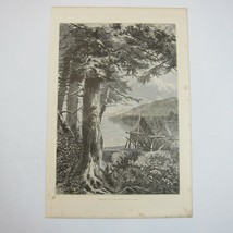 Antique 1874 Engraving Print Hemlocks of Lake Ostego John A. Hows Cooperstown NY - £23.59 GBP
