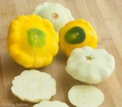 Grow In US 10 Patty Pan squash seeds Yellow and white mix Yummy Tasty - £7.33 GBP