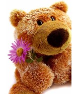 Blank Inside - Furry Friends Greeting Card - 01965 - $51.41 MXN