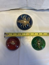 Vtg Real Scorpion Lucite Dome Paperweight Taxidermy 4” Blue 3” Red 3” Gr... - $24.75