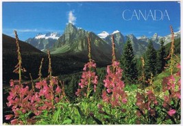 Alberta Postcard Valley of Ten Peaks Banff National Park  4 3/4&quot; x 6 3/4&quot; - £1.73 GBP