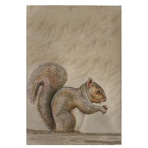 Betsy Drake Squirrel Guest Towel - £27.68 GBP