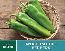 25 Seeds Anaheim Chili Pepper Seed Easy Grow Heirloom GMO Free Capsicum annuum - £15.08 GBP