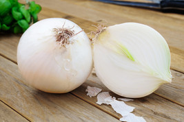 500 Seeds Sweet White Spanish Onion Allium Cepa Vegetable  - £7.60 GBP