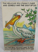 Comics Postcard 5C-K30 Curt Teich Pelican 1 bill Dont Pay We Get New 1 E... - $2.96