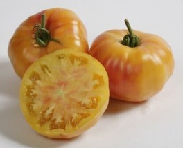 Armenian Tomato Garden Planting Tomatoes Food 50+ seeds - £6.72 GBP