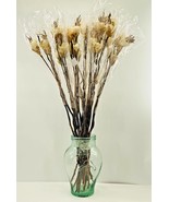 Dried Ivory Floral Flowers Craft Asian Willow Decorative Branches Bundle... - £33.22 GBP