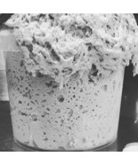 SAN FRANCISCO SOURDOUGH STARTER FRENCH BREAD YEAST SALLY - $7.76