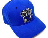 MVP Kentucky Wildcats Mascot Logo Blue Curved Bill Adjustable Hat - £22.31 GBP