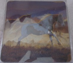 Four Wild Horses Rubber Backed Coasters New In Box - $6.99