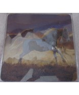 Four Wild Horses Rubber Backed Coasters New In Box - $6.99