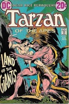 Tarzan Comic Book #211 DC Comics 1972 FINE - £7.02 GBP