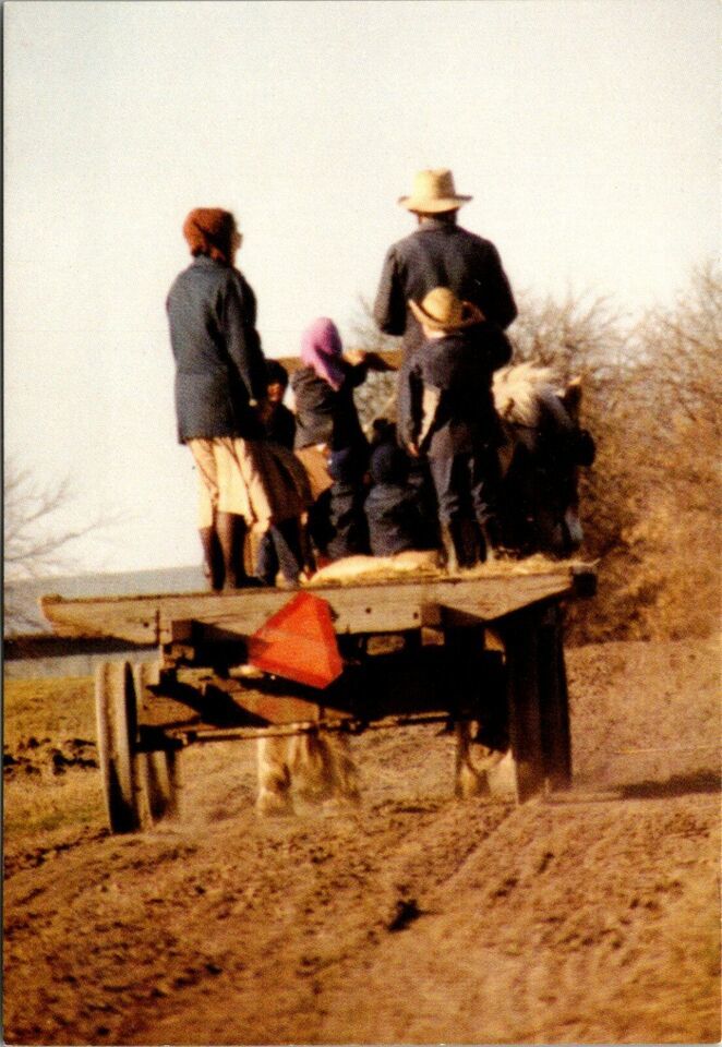 Primary image for Missouri Jamesport - Field Wagon Amish Parents Children Farming Vintage Postcard