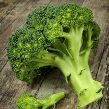 500 Waltham 29 Broccoli Seeds ~ Heirloomseedguy ~ 2025 ~ - $11.05 CAD