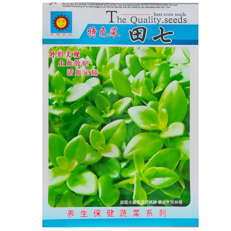 Chinese Panax Notoginseng Pseudo Ginseng Seeds 500 Seeds Pack Chinese He... - £6.18 GBP