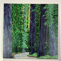 Avenue of the Giants - Acrylic on Canvas Painting - 12&quot; x 12&quot; Nature Theme Art - £122.66 GBP