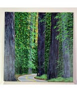 Avenue of the Giants - Acrylic on Canvas Painting - 12&quot; x 12&quot; Nature The... - £122.28 GBP
