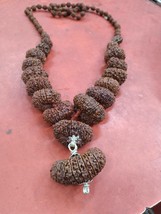 Indrakshi Mala Combination Of 1 To 21 Mukhi Rudraksha Religious Collectible - $509.03