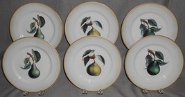 Set (6) Crate &amp; Barrel Colorful Fruit Pattern Salad Plates Gold Trim - $49.49