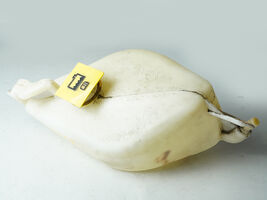 2011-2014 Chrysler 200 Coolant Cooling Antifreeze Tank Reservoir Bottle ... - $98.21