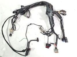 Main Wiring Harness 69200072B OEM 2006 Harley Davidson XL 883 Sportster  - $2,573.53 MXN