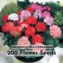 25+ Maverick Mix Geranium Seeds | Vibrant Color Mix | Long-Blooming - $16.45 CAD
