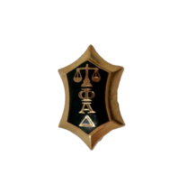14k Gold Phi Alpha Delta Law Legal Fraternity Sorority Pin RARE - £161.22 GBP