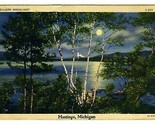 Silvery Moonlight in Hastings Michigan Linen Postcard 1941 - £7.76 GBP