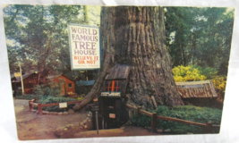 Mike Roberts Kodachrome Postcard World Famous Tree House Lilly Redwood P... - $2.96