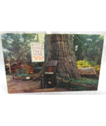 Mike Roberts Kodachrome Postcard World Famous Tree House Lilly Redwood P... - £2.33 GBP