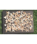 Shark Teeth Fossil Pack–Genuine Prehistoric Shark Fossils for Learning &amp;... - €29,80 EUR