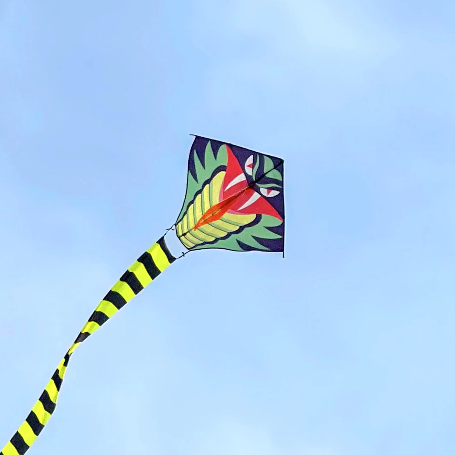 Large Cobra kite, with 328 feet kite line, super long tail, especially easy to - £10.38 GBP+
