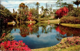 World Famous Reflection Pool at Beautiful Cypress Gardens, Florida Postcard C11 - £3.81 GBP