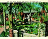 Lily Pond Mission Cliff Garden San Diego California CA UNP 1920s WB Post... - £4.70 GBP